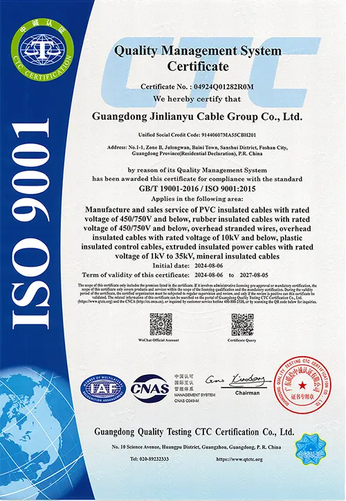 ISO 9001.png